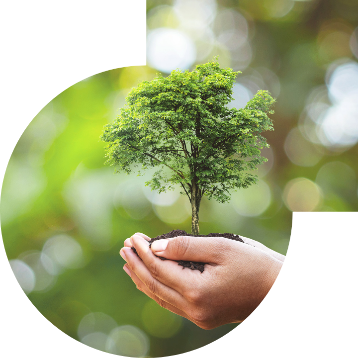 關懷人類、文化、環境與社會